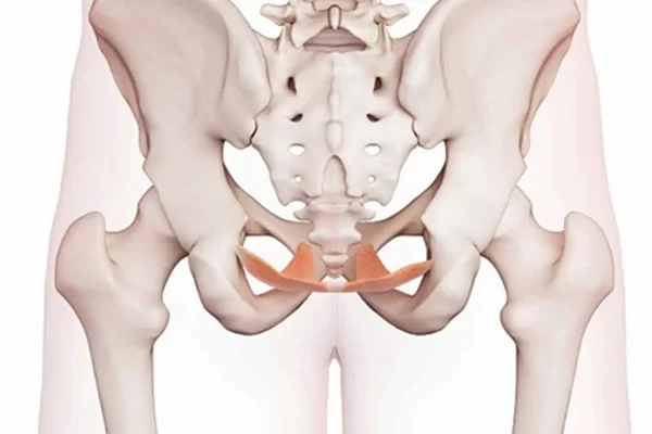 سفتی عضلات کف لگن