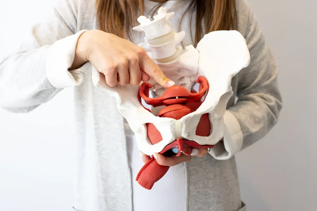 شل شدن عضلات کف لگن